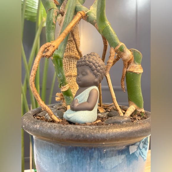 Little Buddha Meditating - Picture 5 of 5